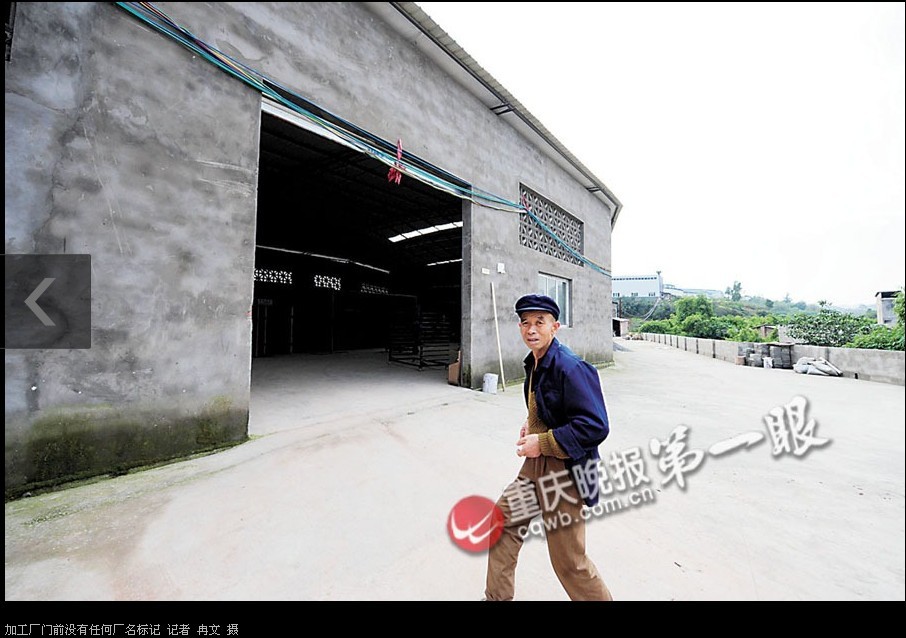 刘伯温神算免费资料大全